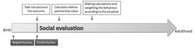 The Origin of Social Evaluation, Social Eavesdropping, Reputation Formation, Image Scoring or What You Will